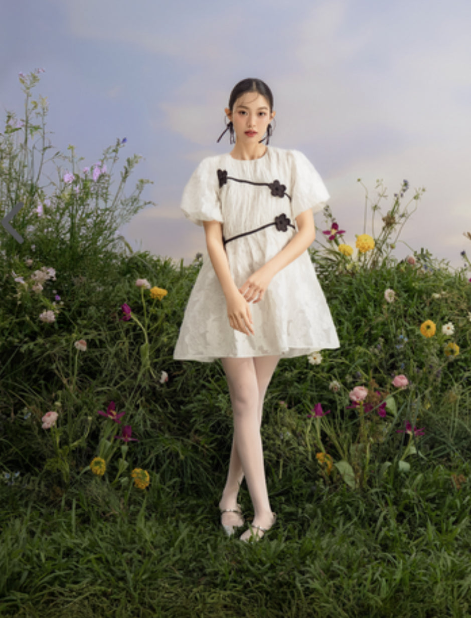 Franny Dress
