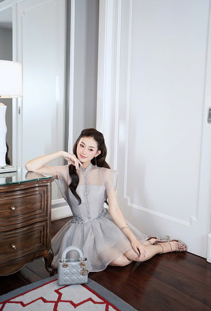 Blink Stone Button Elegant Dress