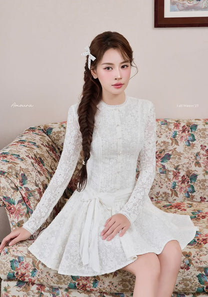 Abeline Lace Elegant Dress