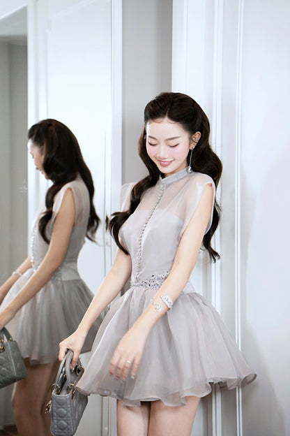 Blink Stone Button Elegant Dress
