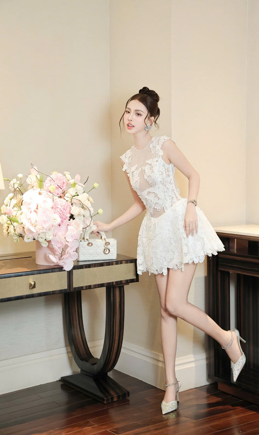 Lace Butterfly Dress