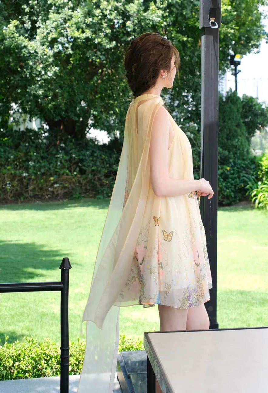 Butterfly Babydoll Dress