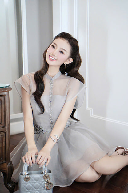 Blink Stone Button Elegant Dress